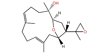Culobophylin B